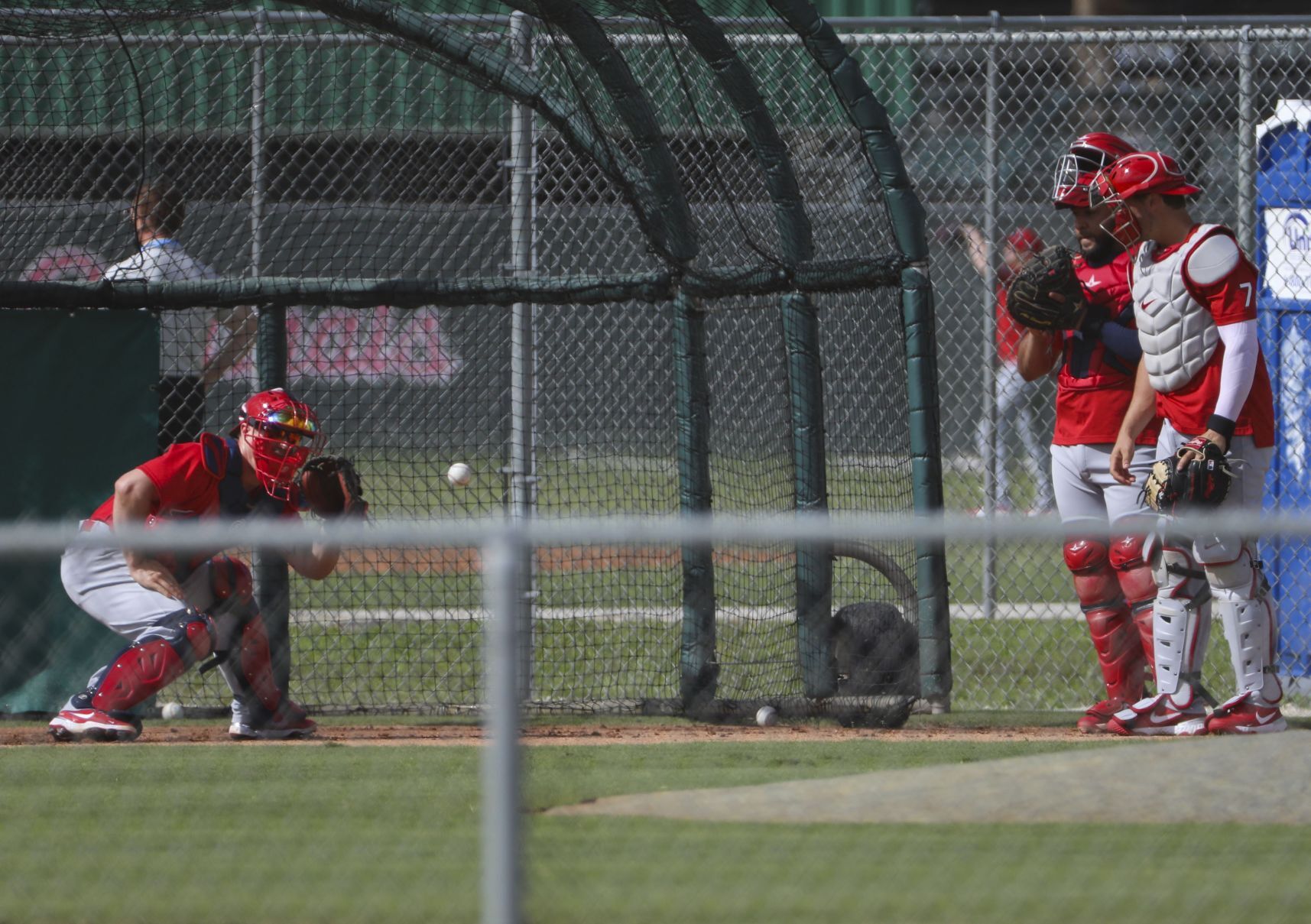 Day six of Cardinals spring training workouts